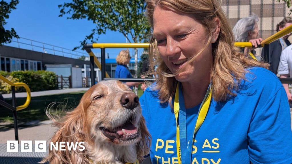 Lister Hospital's animal therapy team shortlisted for award
