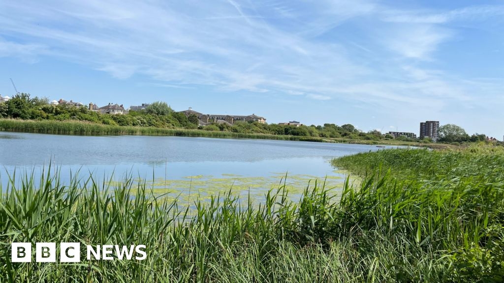 London Wetlands Centre: 25 years of London's 'extra lungs'