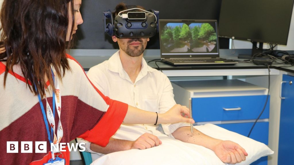 Glastonbury Festival get to experience nature through VR