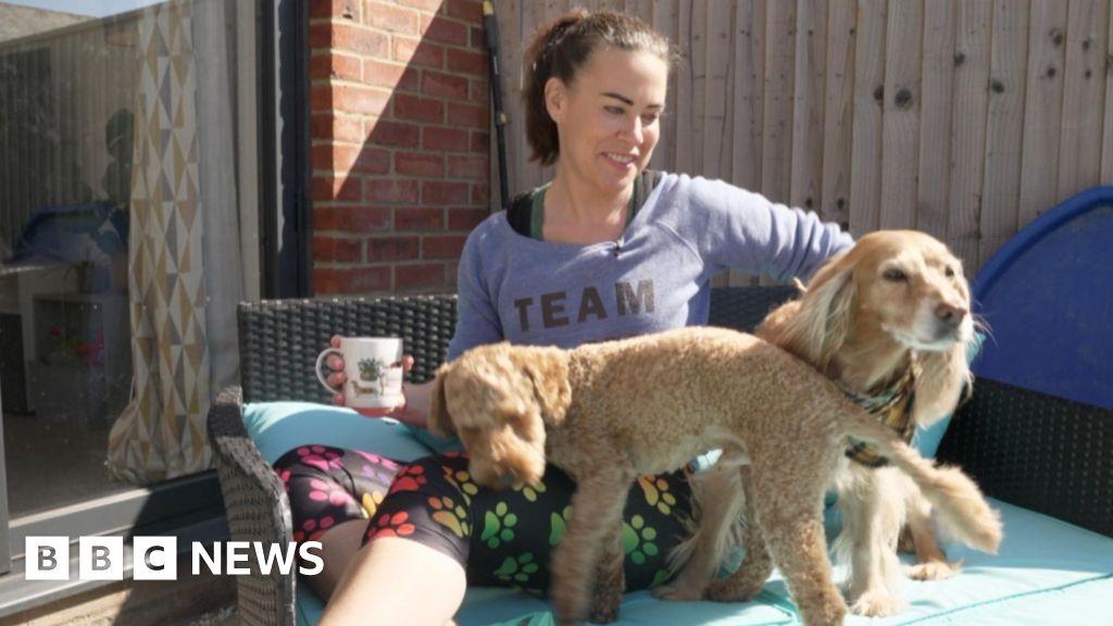 Scams: Dog groomer says she was targeted by social media fraud