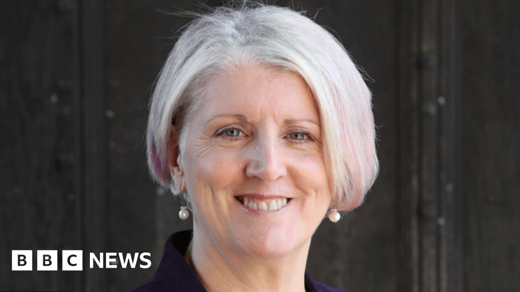 Glastonbury Town Deal chair Dr Lynne Sedgmore resigns