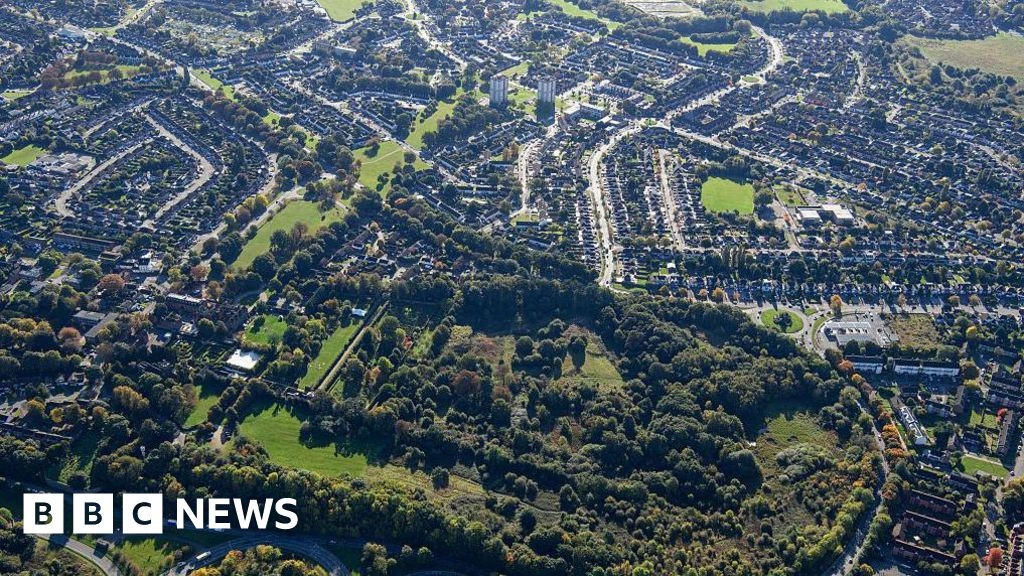 Solihull home extensions 'rip guts out of community'