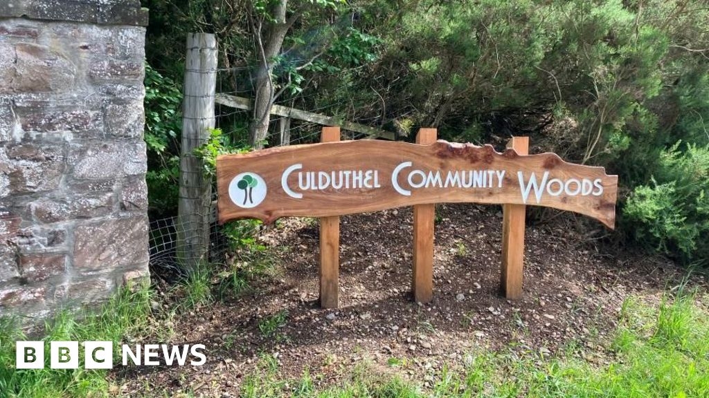 Revamp of Inverness community woodland's paths approved