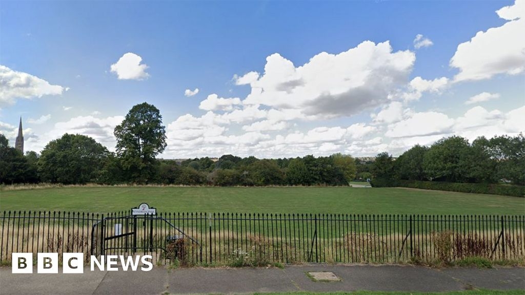 Grantham dog park to double up as wildflower meadow