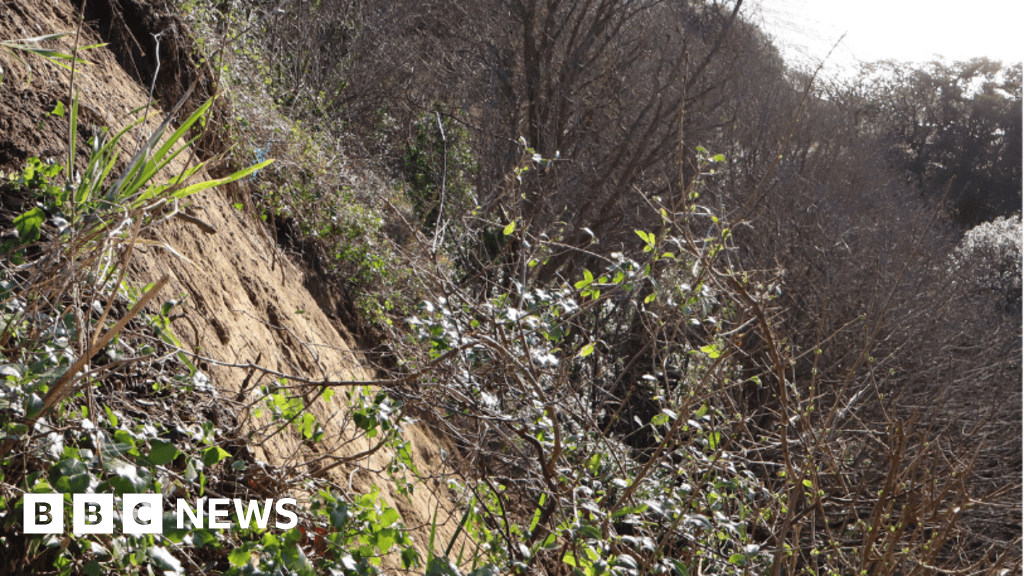 Leas Coastal Park work to be carried out to prevent landslides