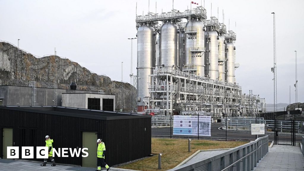 Billions risked on 'unproven' green tech, MPs warn