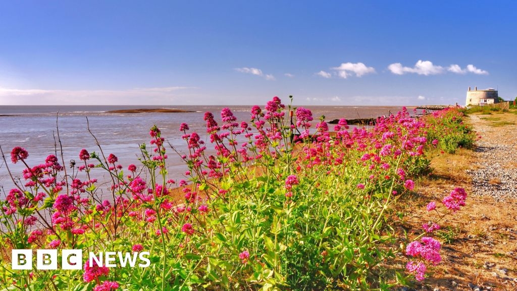 Five years left to halt nature loss, Suffolk charity warns
