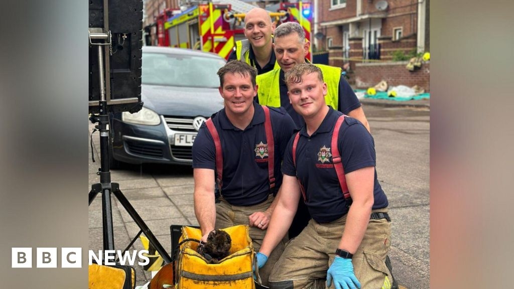 Woman arrested after cat revived following fire in Leicester
