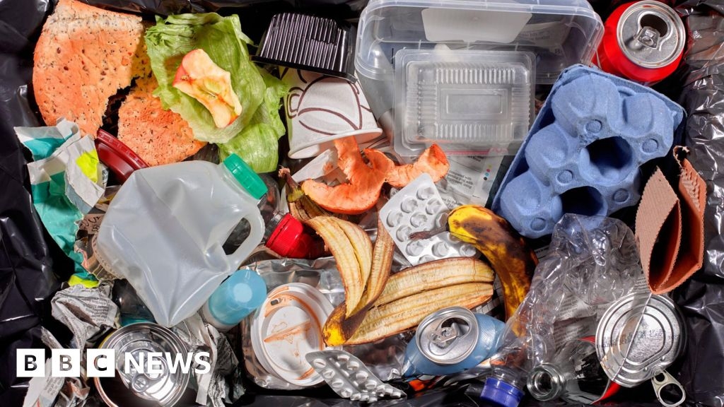Food waste collections coming to Brighton and Hove