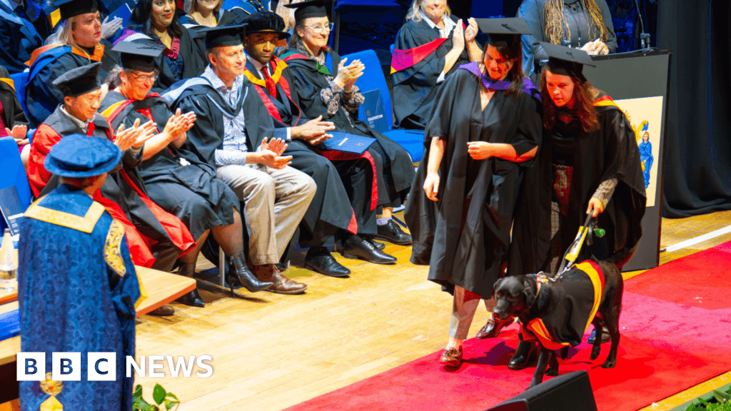 Wolverhampton university student graduates with guide dog in mini gown