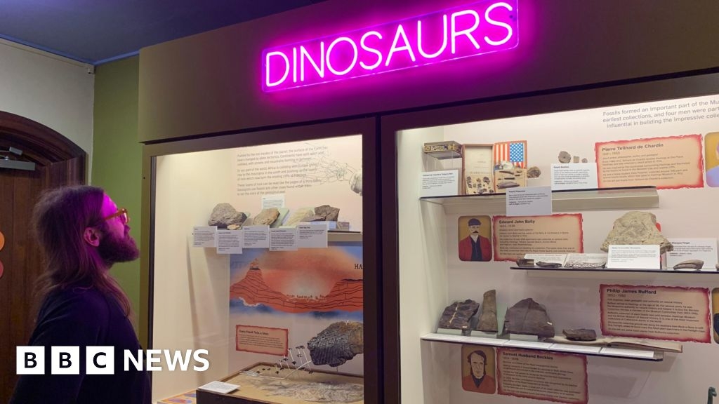 Dinosaur gallery reopens at Hastings Museum