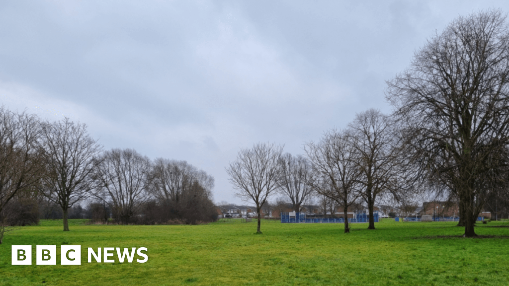 'Tiny forest' with 600 trees to be planted in Loughborough park