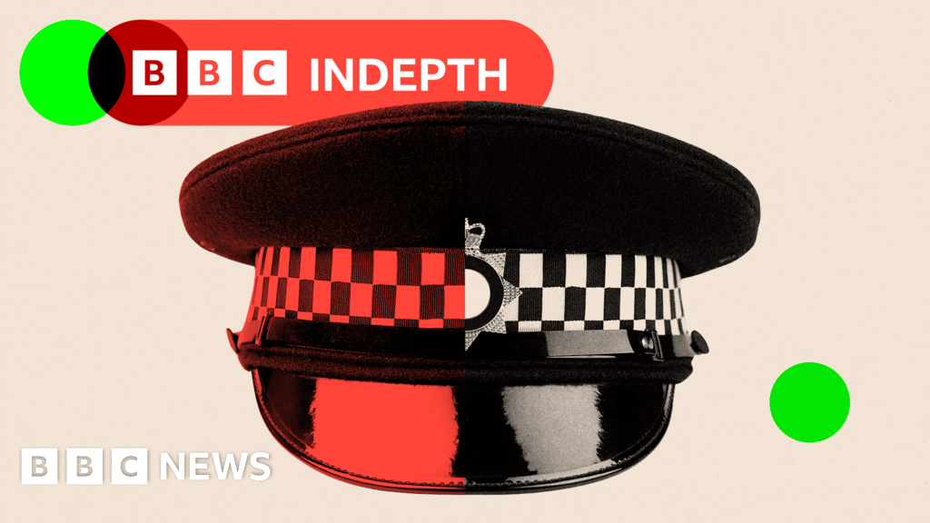 The families hiring 'private bobbies' to police their homes