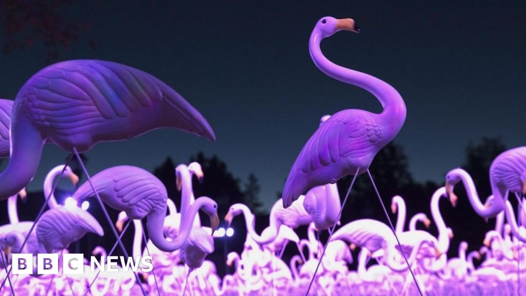 Bristol Light Festival: Flamingos and giant swing to brighten up city