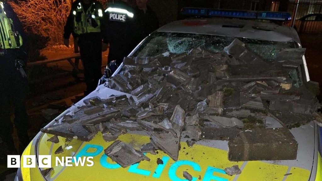 Peterborough man who threw tiles at police from roof jailed