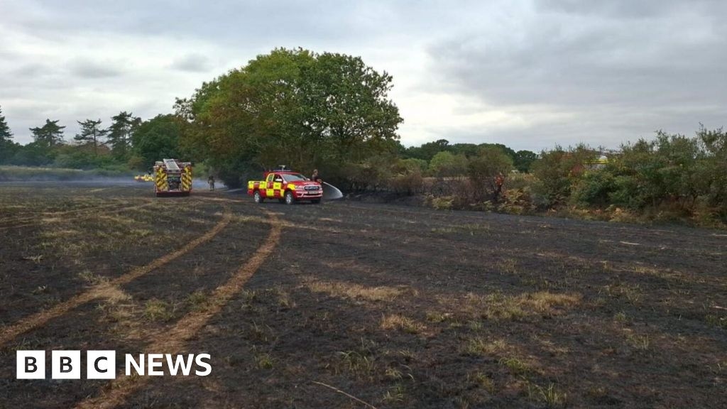 Fields destroyed as fire in Alderholt spreads