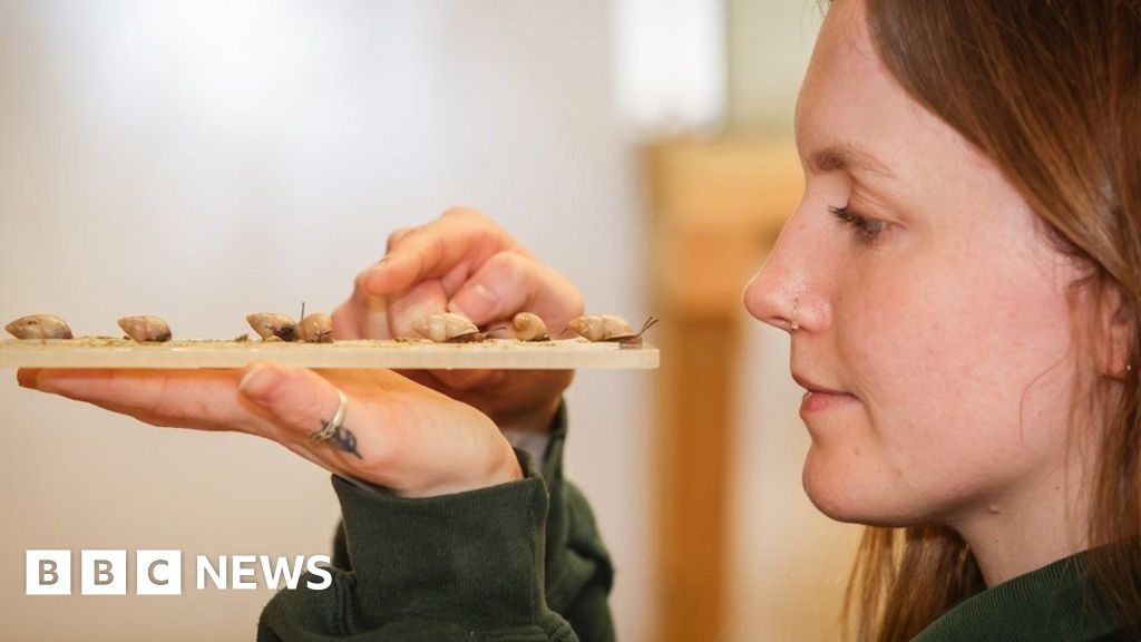 Animals totted up for Marwell Zoo's stocktake