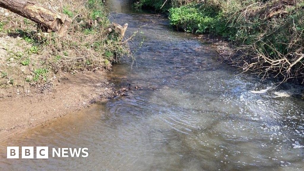 Warning after slurry pollutes Cornish stream near beach