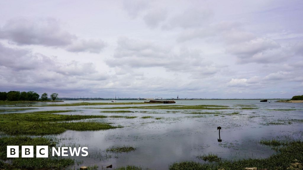 'Medway and Ouse estuaries risk losing important habitats'