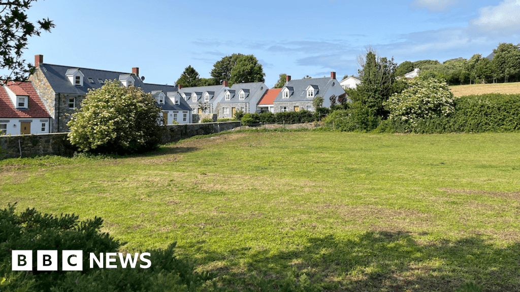 Why is a Guernsey field being surveyed for undetonated bombs?