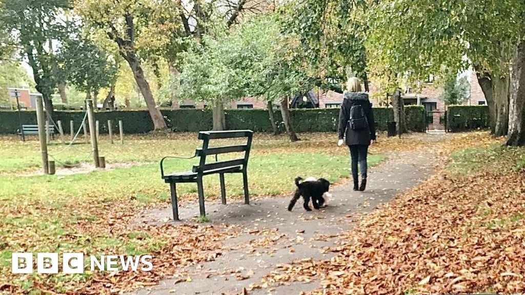 Rossendale dog walker rules could be toughened, council told