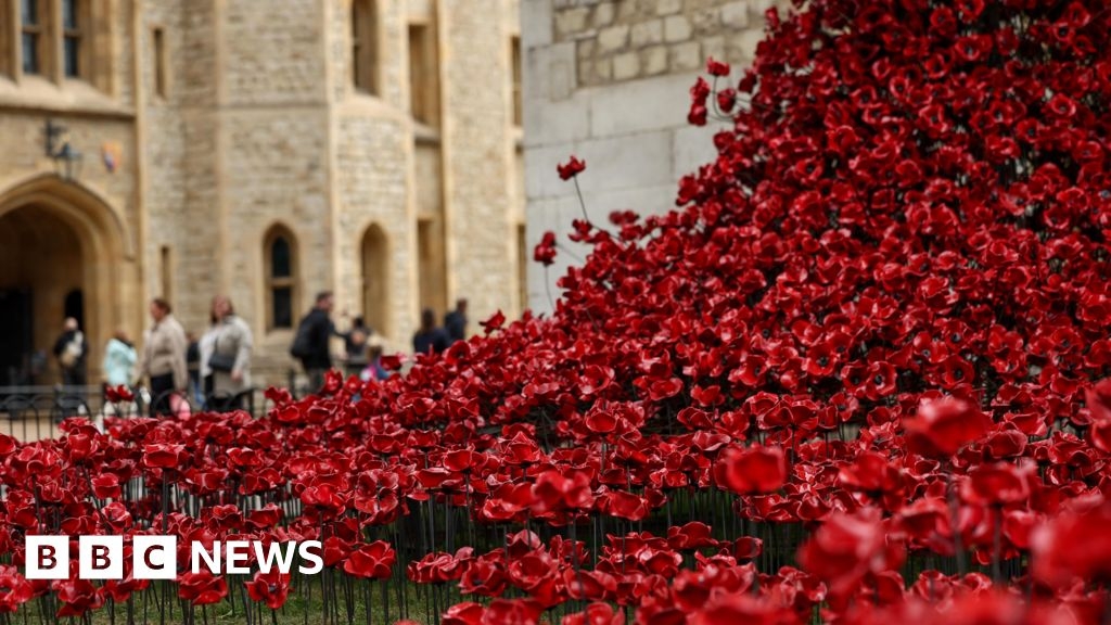 Thousands of poppies on display at Tower of London for VE Day
