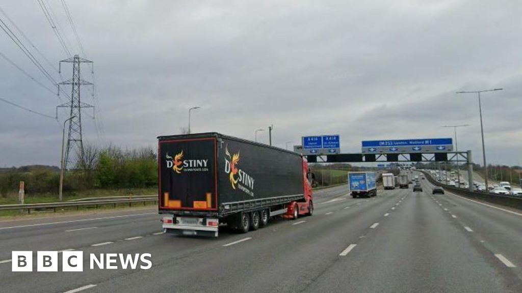 Appeal after driver standing by van dies on M1 in Hertfordshire