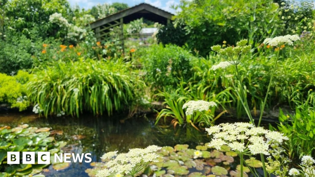 Oxfordshire mental health garden 'completely transforms lives'
