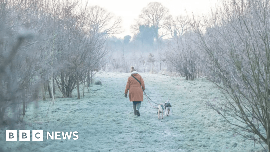 Public backs better protection for animal welfare in Guernsey