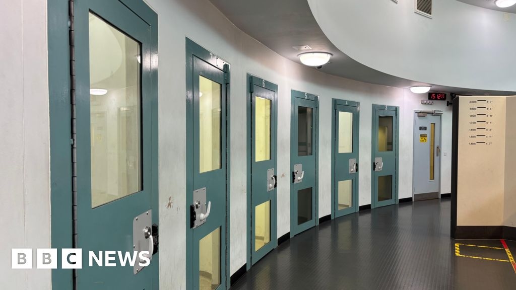 Earplugs and stress balls – changes in custody for the neurodiverse