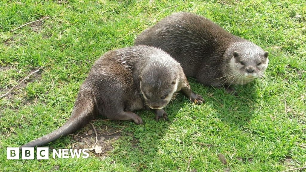 New Clophill Lakes nature reserve opens to public in Bedfordshire