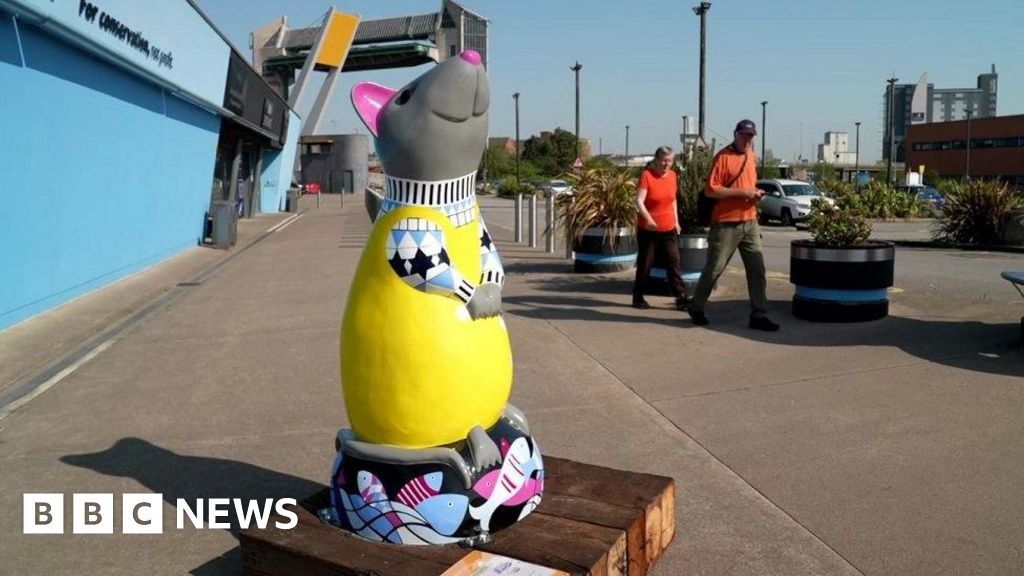 Hull prepares for 50 giant rats in new art trail