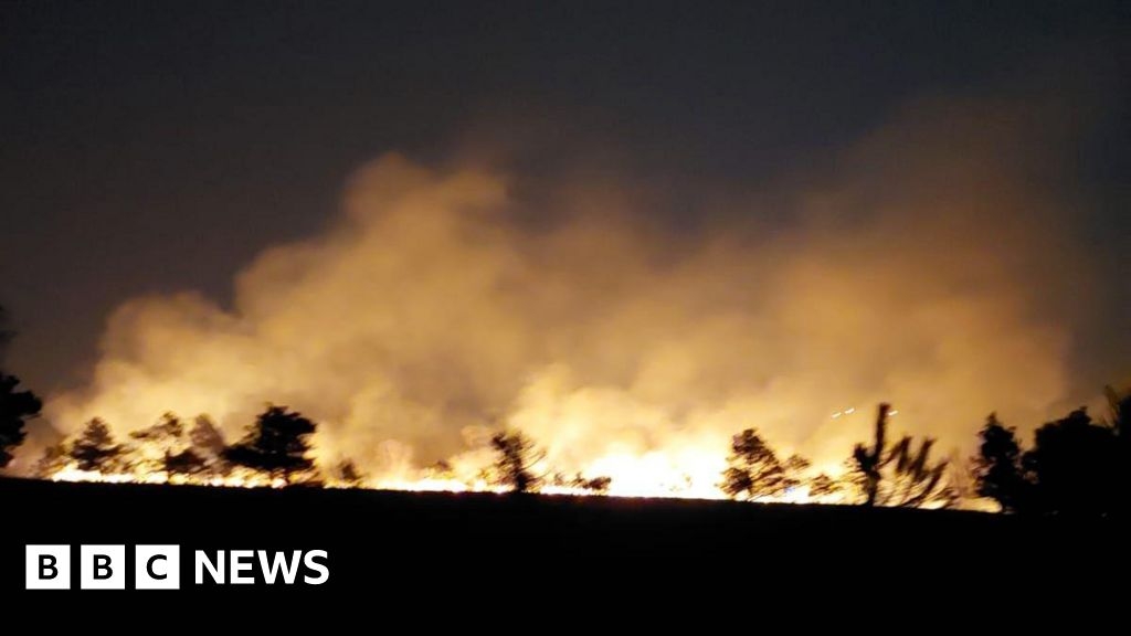 Canford Heath blaze deliberate, according to firefighters