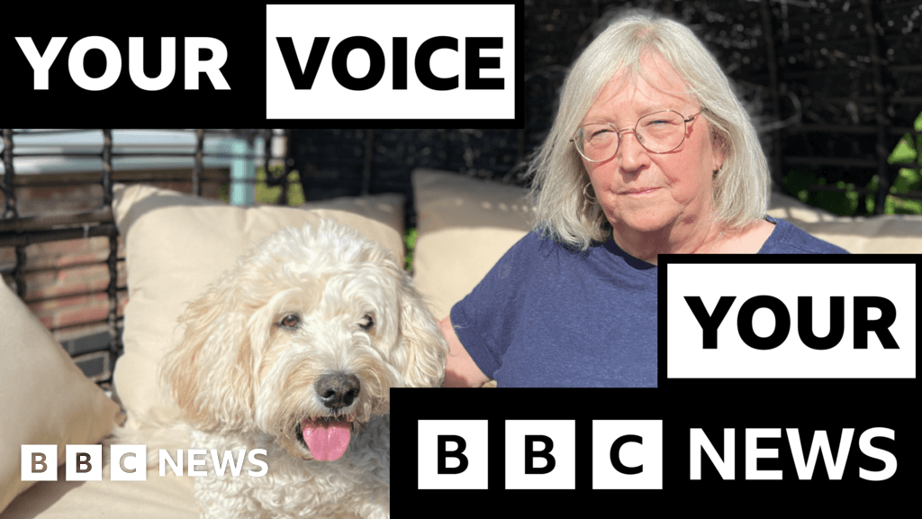Vet bills: More pets being put down due to rising costs, BBC told