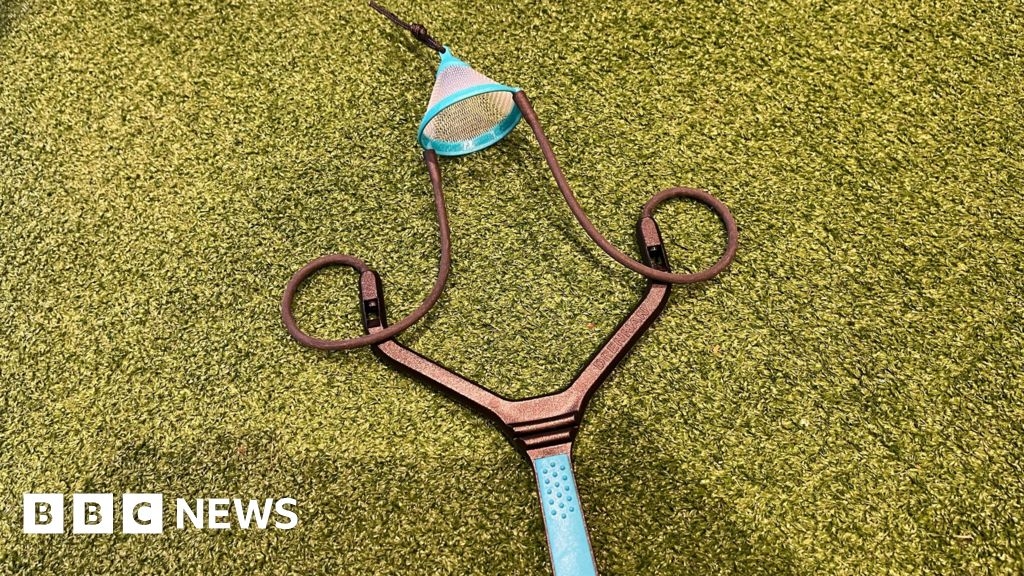 Goose and swan hit in suspected catapult attack at Fleet Pond