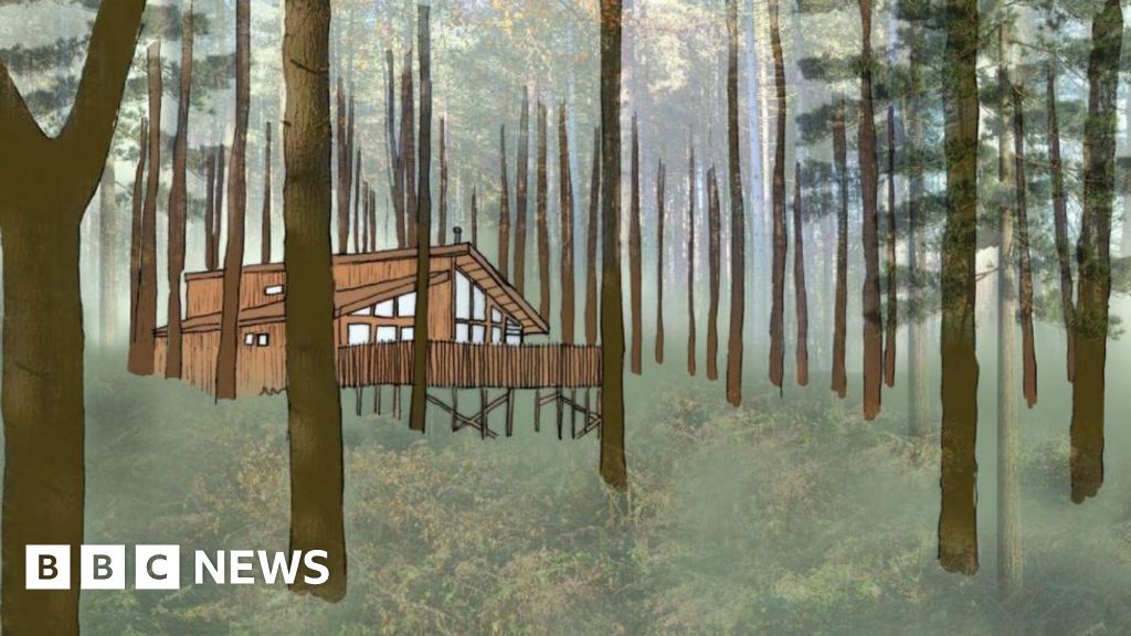 Hamsterley Forest holiday park plan sparks legal objections