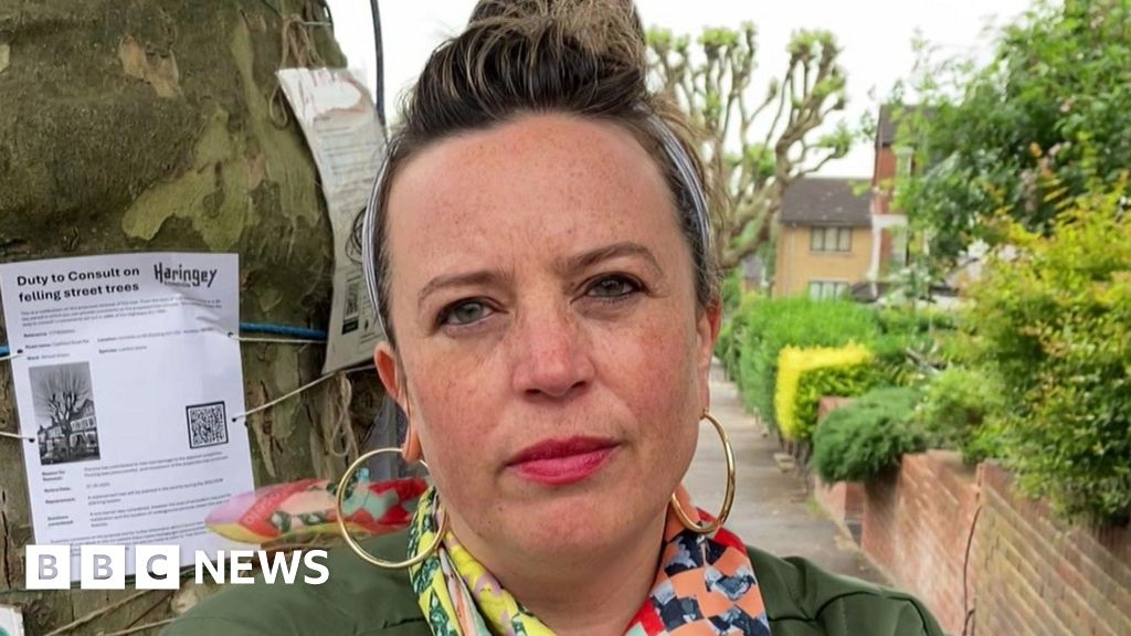 Stroud Green plane tree faces axe again over root damage claims