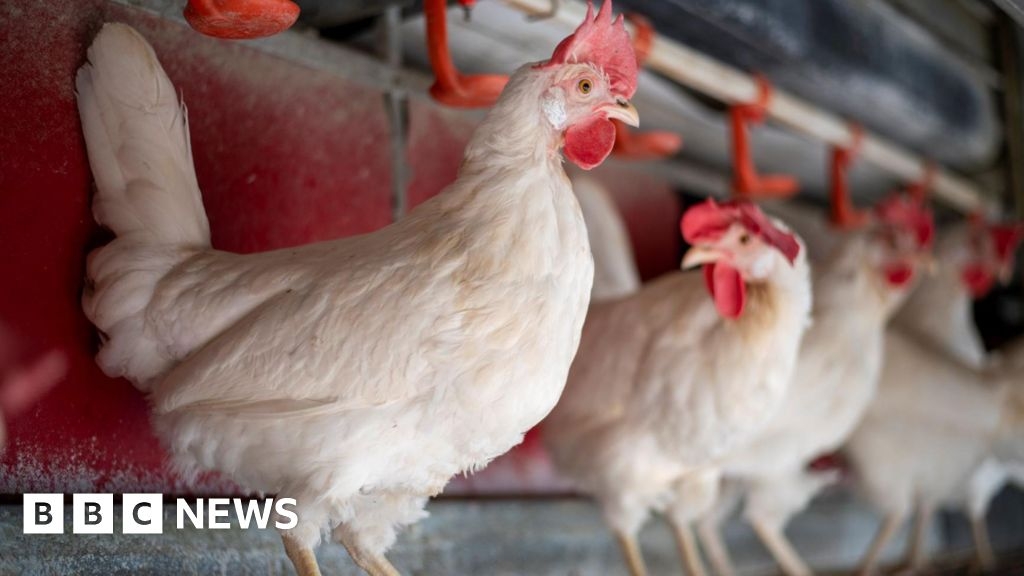 Rowton chicken farm plan hits hurdle over drainage query