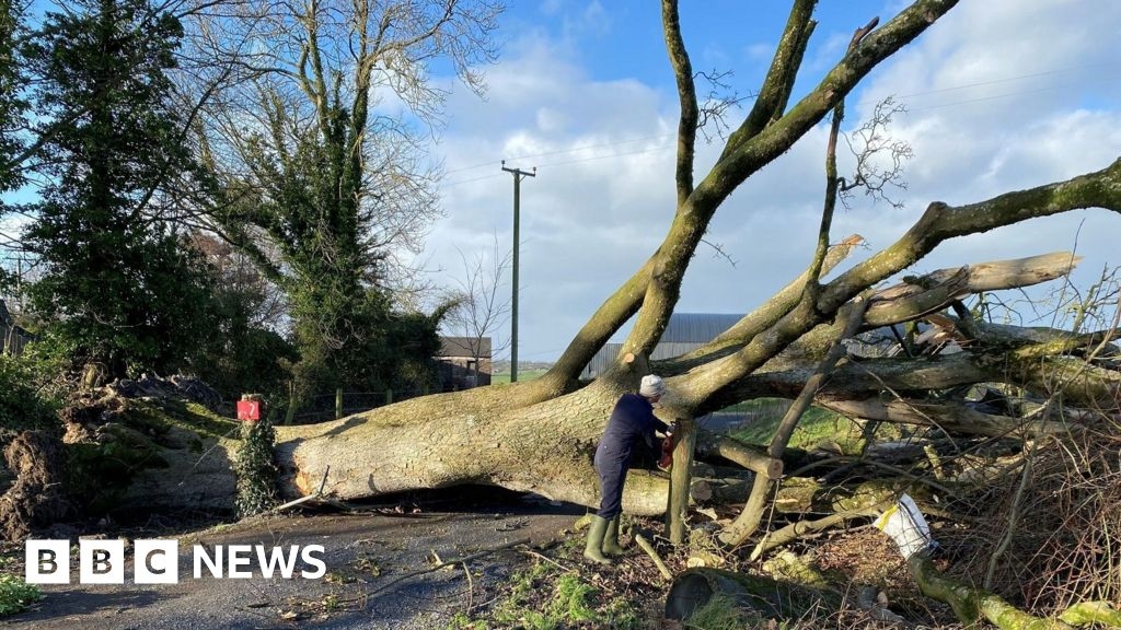 Fibrus to pay compensation for Storm Éowyn broadband disruption