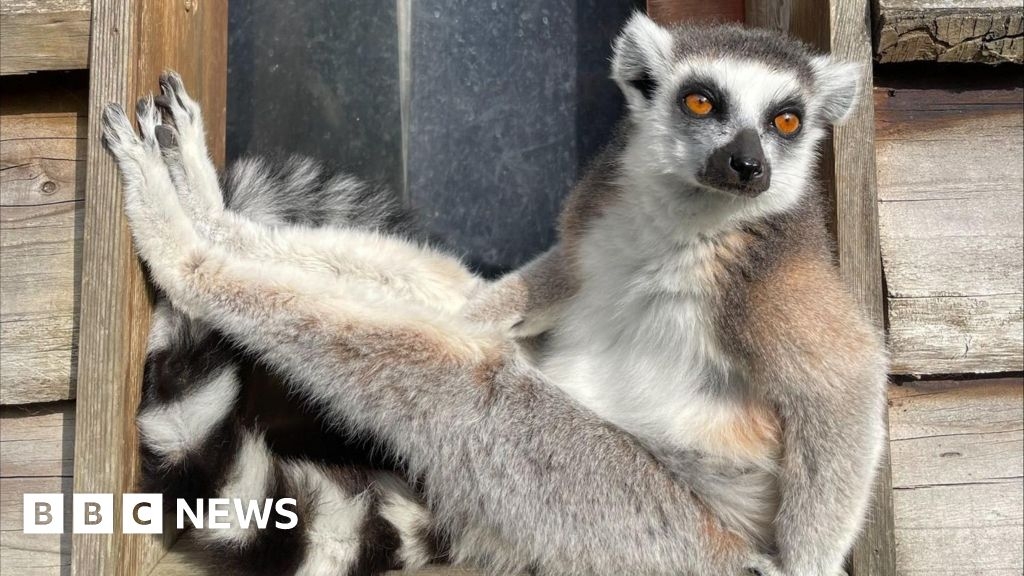 Bristol in Pictures: Animal magic and Bears' heartbreak