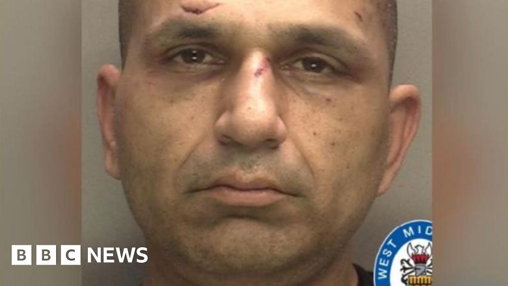Banned Birmingham driver rammed police cars to try to escape