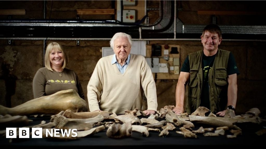 Mammoth artefacts from David Attenborough documentary on display
