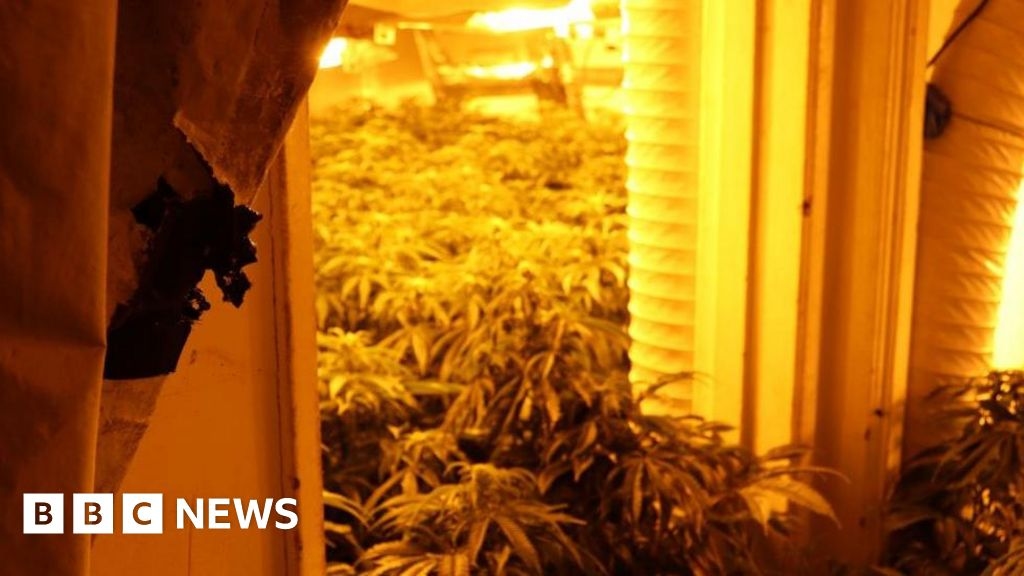South West operation targets drugs supplied by organised crime