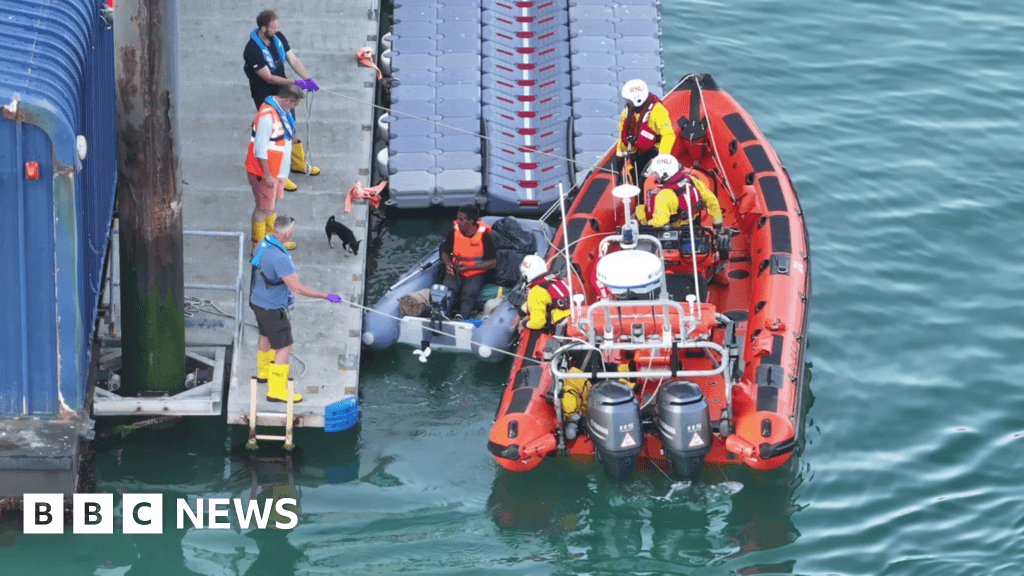 Man and dog rescued near Brighton after three days in dinghy