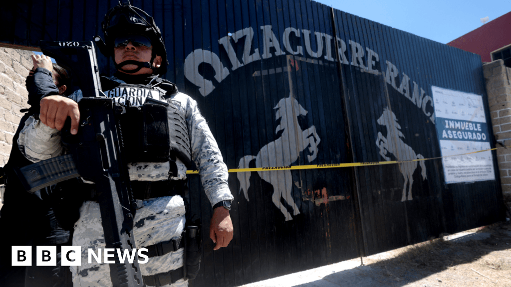 Ovens and bone fragments: BBC visits Mexican cartel 'extermination' site