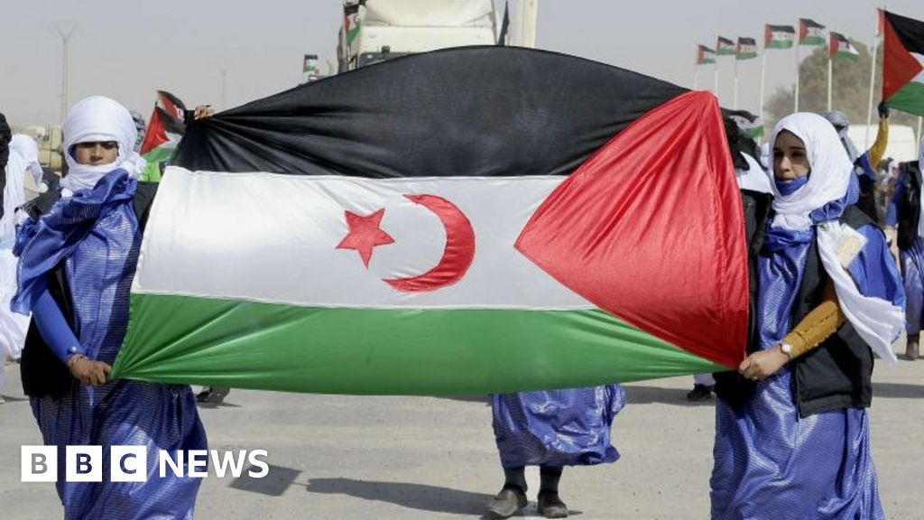 Western Sahara: UK backs Morocco's plan for disputed territory to win World Cup deal