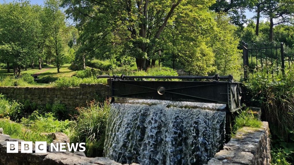Maidstone nature bathing advocate talks of mental health boost