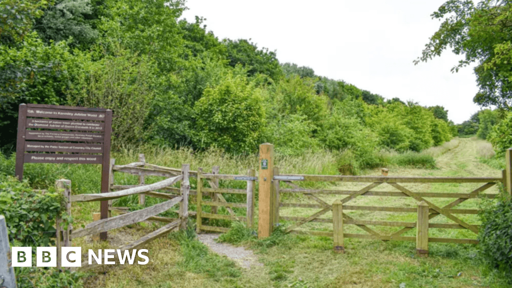 Plans to build homes in Jubilee woodland receive objections