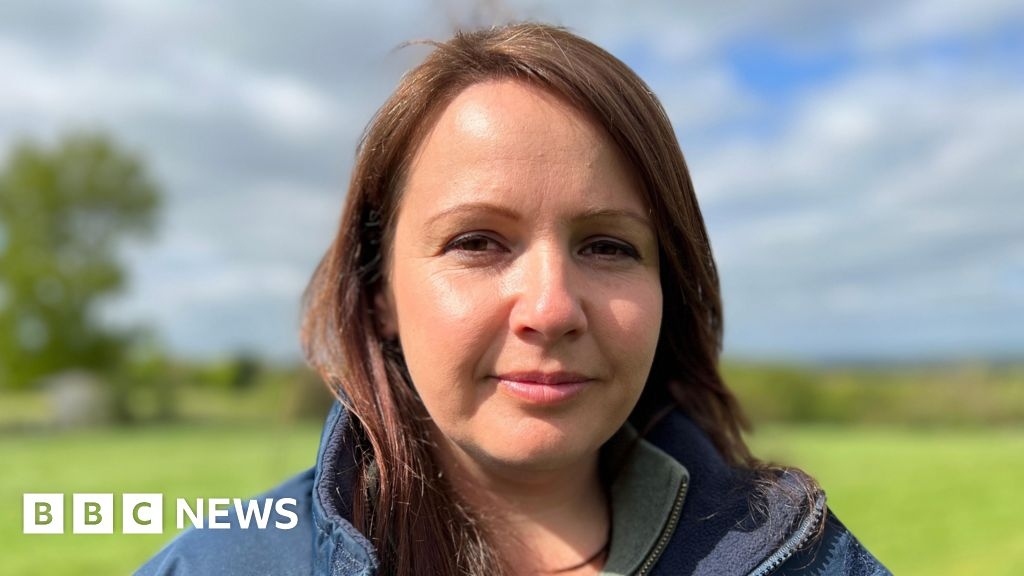 Lincolnshire farmer's 'heart sinks' when dogs chase her flock