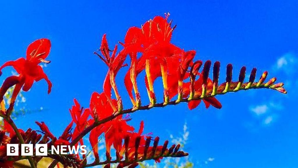 Heatwave continues across Kent, Sussex and Surrey